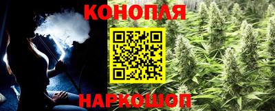 СК Камышлов
